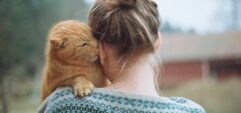 Почему кошки любят ушную серу