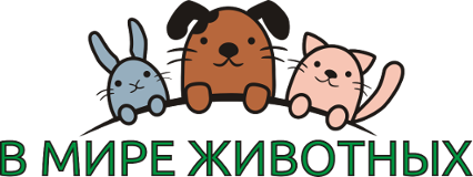 В мире животных